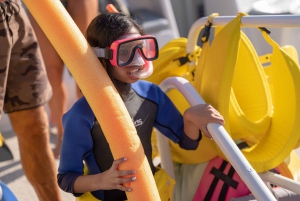 Maui Sud: Tour di snorkeling di Molokini e Turtle Town con pasto