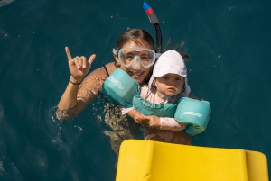 Maui Sud: Tour di snorkeling di Molokini e Turtle Town con pasto