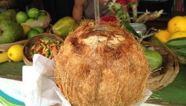 The Coconut Experience