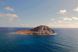 Waikiki: Oahu w jeden dzień – wycieczka dookoła wyspy