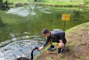 Waikiki: Oahu w jeden dzień – wycieczka dookoła wyspy