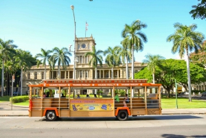 Oahu : Laissez-passer pour la ligne de tramway Waikiki (Hop-on Hop-off All-Line Pass)