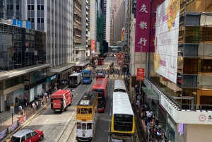 Hong Kong Island & Kowloon på 6 timmar: lokal mat och historia