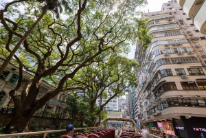 Hong Kong: Big Bus Hop-On Hop-Off Tour & Optional Peak Tram