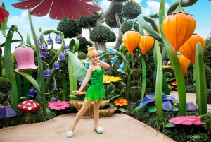 Hong Kong Disneyland Park Liput