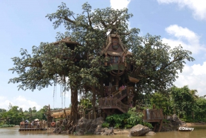 Hong Kong Disneyland Park Liput