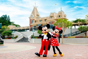 Hong Kong Disneyland Park Liput
