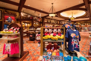 Hong Kong Disneyland Park Liput