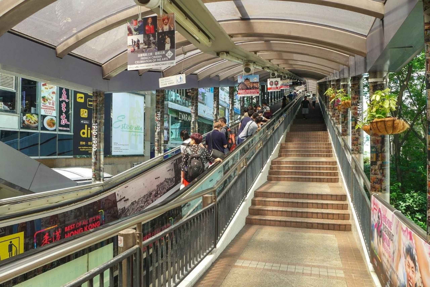 Tour di un giorno a Hong Kong: tram prioritario per il Peak, passeggiata in città e dim sum
