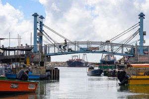 Hong Kong: Lantau VIP Priority Cable Car, Big Buddha & Tai O