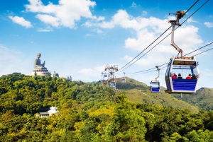 Hong Kong: Boat and NP360 Cable Car or Tai O Day Pass