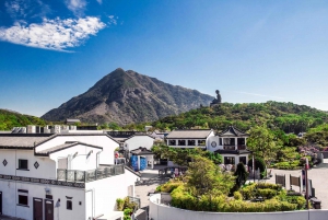 Lantau Island: Boat and NP360 Cable Car or Tai O Day Pass