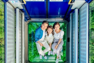 Ngong Ping 360: Seilbahn Rückfahrttickets & Kombitickets