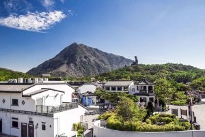 Ngong Ping 360: Seilbahn Rückfahrttickets & Kombitickets