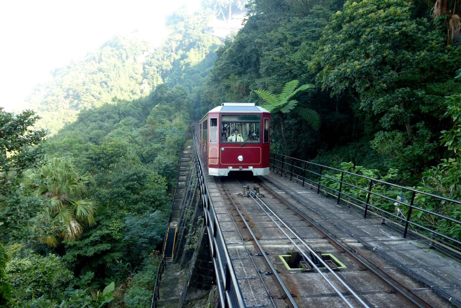 Privat heldagstur til de største attraksjonene på Hongkong-øya