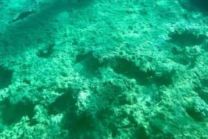 Cala Codolar: Kajak- og snorkeltur med hav og grotter