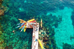 Es Figueral: Figueral: Opastettu melonta- ja snorklausretki