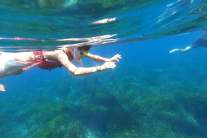 Es Figueral: Guided Kayaking and Snorkeling Tour