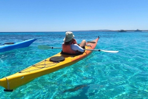 Es Figueral: Guided Kayaking and Snorkeling Tour