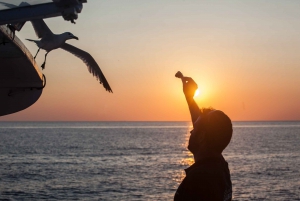 San Antonio: Es Vedrà, Formentera-tur med mad og drikke