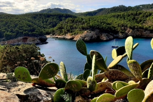 Ibiza: Can Marçá Cave Guided Tour