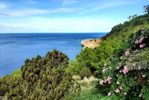 Ibiza: Can Marçá Cave Guided Tour
