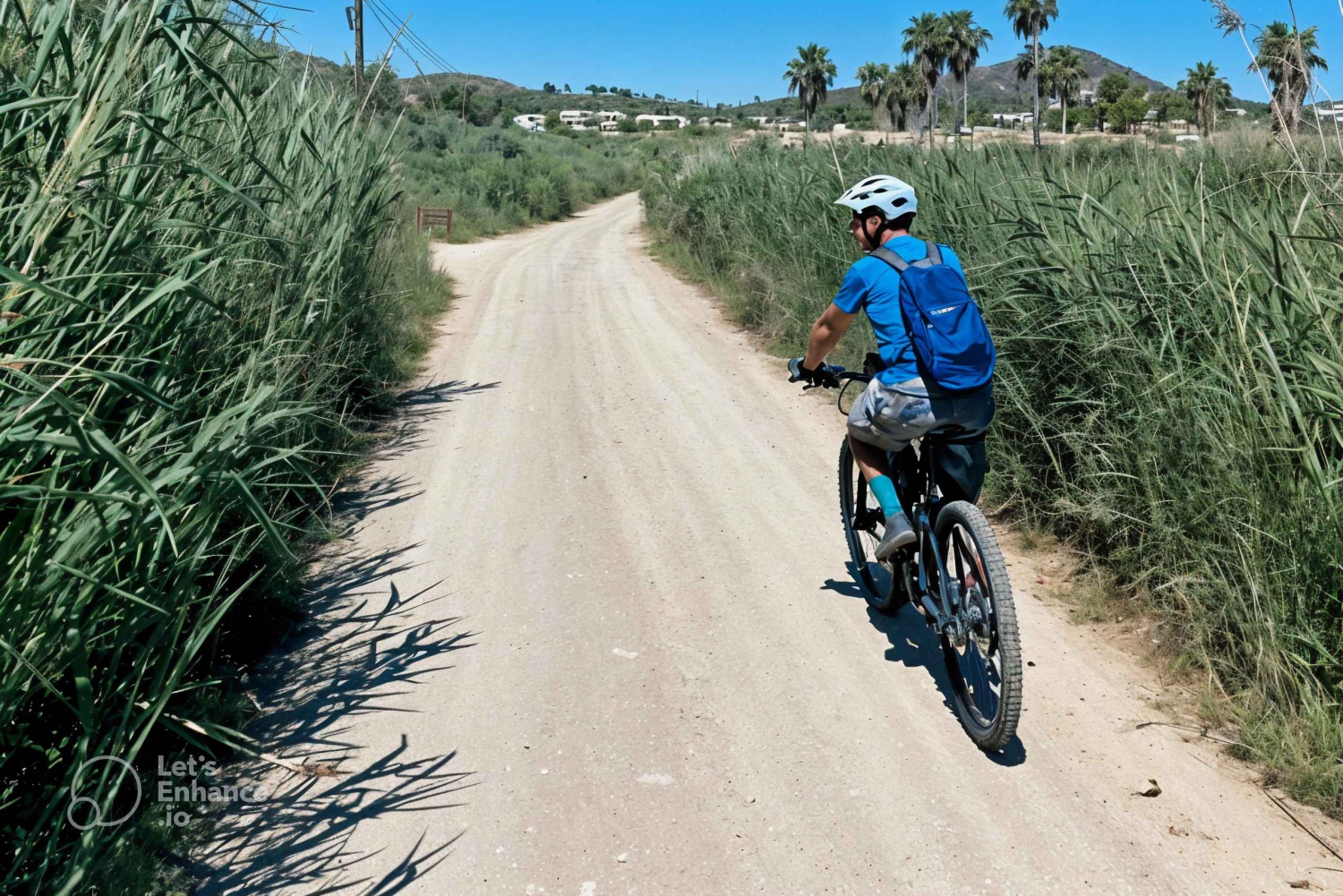 Ibiza E-Bike Tour: Udforsk Ibiza fra krydstogtterminalen