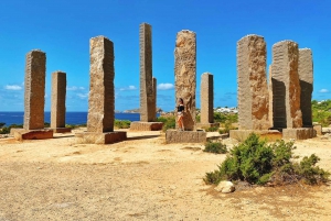 Ibiza: Festa na piscina com 4 locais em 1 dia