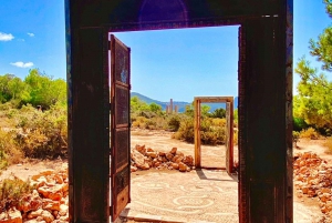 Ibiza: Festa na piscina com 4 locais em 1 dia