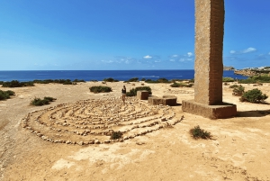 Ibiza: Festa na piscina com 4 locais em 1 dia