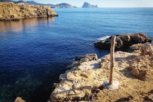 Ibiza: Festa na piscina com 4 locais em 1 dia