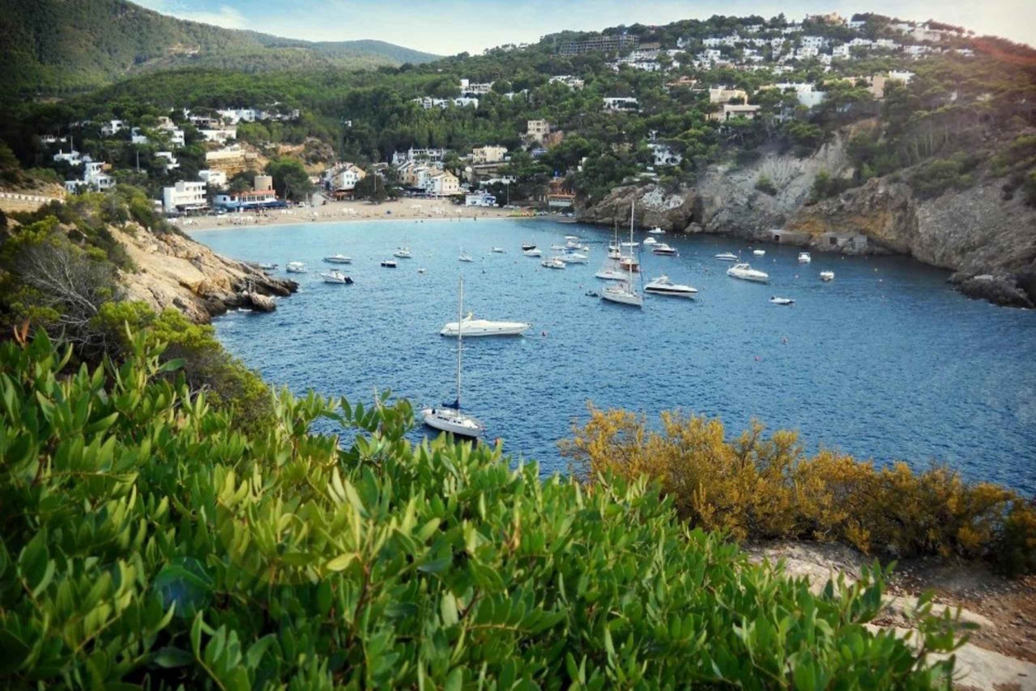 Ibiza: Land & Sea Adventure med BUGGY + PADDLE SURF