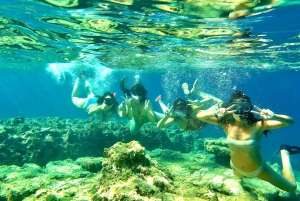 Cala Codolar: Kajak- og snorkeltur med hav og grotter