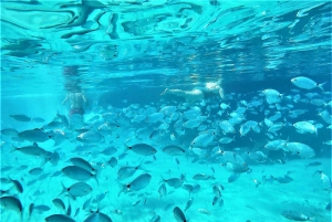 Ibiza: Snorklaus ja SUP-paddle, ranta- ja luolakierros