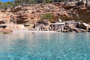 Ibiza: Snorkeling and SUP Paddle, Beach and Cave Cruise