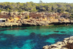 Ibiza: Snorkeling and SUP Paddle, Beach and Cave Cruise