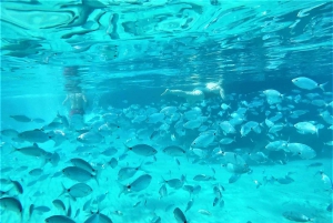 Ibiza: Snorkeling and SUP Paddle, Beach and Cave Cruise