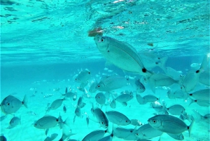 Ibiza: Snorkeling, Sunset Beach and Cave Boat Trip