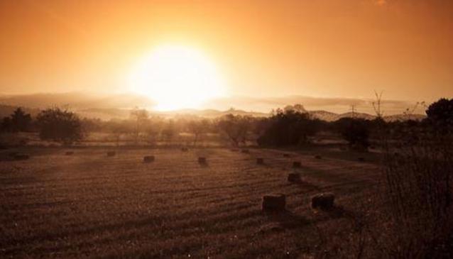 Max Lawless Photography