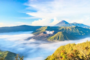 From Jakarta: Yogyakarta, Borobudur, Bromo, Ijen & Bali Tour