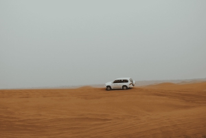 Au départ de Jérusalem : Visite de la mer Morte et safari dans le désert