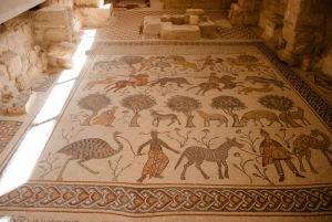 Från Jerusalem: Petra 2-dagars tur från Jerusalem