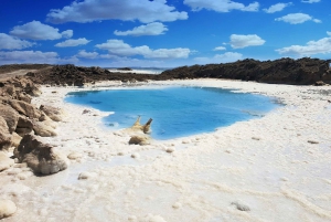 De Telavive: Destaques de Jerusalém e do Mar Morto