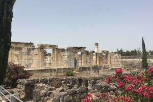 Porto de Haifa: Excursão cristã de 1 dia à Galileia