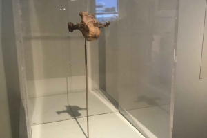 Jerusalem og Betlehem med lisensiert guide fra Haifa havn