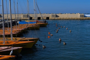 Jaffa: Stare Miasto, port i piesza wycieczka Shuk Hapishpishim