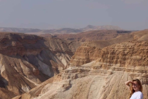 テルアビブ／エルサレム発：マサダ、アインゲディ、死海プライベートツアー