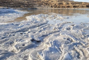 テルアビブ／エルサレム発：マサダ、アインゲディ、死海プライベートツアー