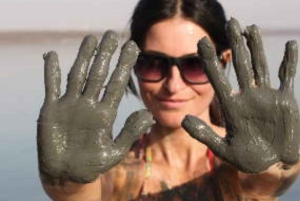 テルアビブ／エルサレム発：マサダ、アインゲディ、死海プライベートツアー