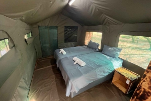 3 Tage Dumela Tented Camp Safari